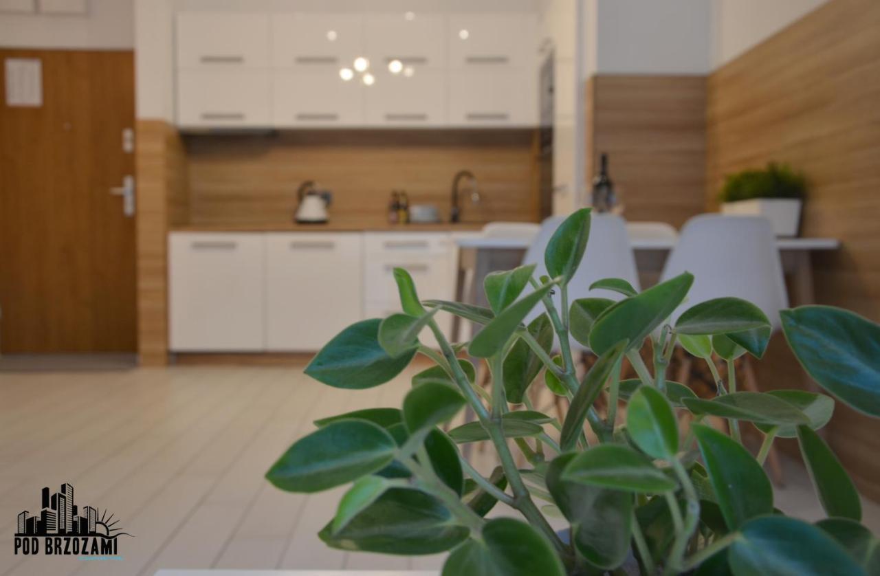 Pod Brzozami Apartamenty Dwie Sosny Ustronie Morskie Extérieur photo